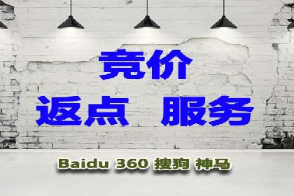 行业领先企业的网络推广与竞价经验